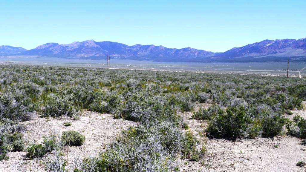 Mountain Medaow Ranches Nevada Land for Sale